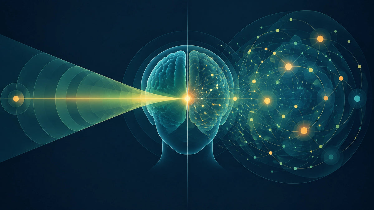 Abstract vector illustration comparing focused attention and open monitoring meditation, with a narrow beam of attention on o