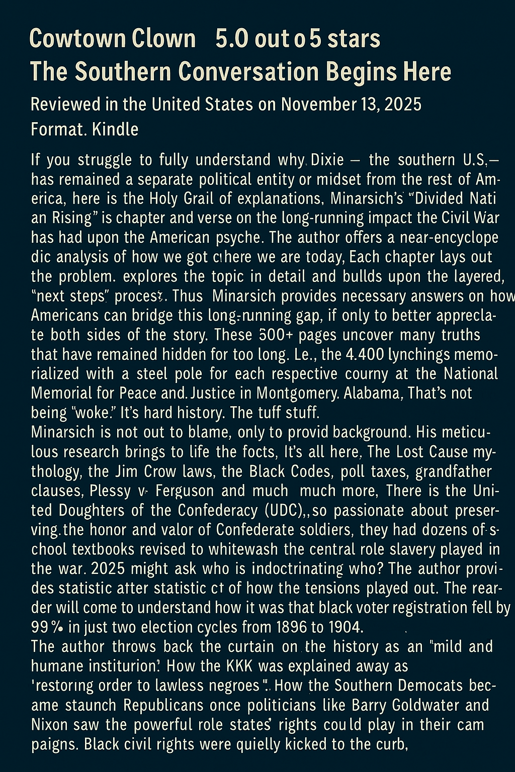 Divided Nation Rising: The Civil War's Long Shadow book cover with review text